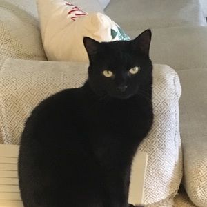 Meet your Posher, Lori